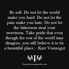 Be Soft Do Not Let The World Make You Hard Quote Be Soft Do Not Let The World Make You Hard Inspirational Quotes Quotable Quotes Thoughts Quotes