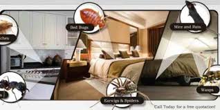 التلوث ومكافحة الحشرات ورش المبيدات المدينة المنورة Bed Home Decor Furniture