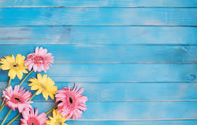 Maybe you would like to learn more about one of these? Wallpaper Flowers Background Yellow Colorful Pink Gerbera Yellow Wood Pink Flowers Spring Gerbera Images For Desktop Section Cvety Download