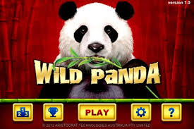 Wild Panda Casino Slot Game Wild Panda Casino Slot Games Panda