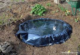 Maybe you would like to learn more about one of these? How To Build A Small Pond For The Garden Lovely Greens