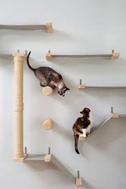 They Re Just Working Off Holiday Treats Modern Cat Tree Cat Room Cat Climbing Wall