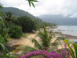Panduan lengkap termasuk tarikan, penginapan & aktiviti. Pulau Tioman Mapio Net