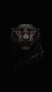 2160x3840 Tiger Glowing Red Eye Minimal Dark Wallpaper Jaguar Animal Black Jaguar Animal Black Panther Hd Wallpaper