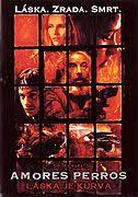 Amores Perros Laska Je Kurva Amores Perros 2000 Galerie Perros Film Movies