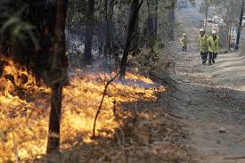 L Australie Se Prepare A De Nouveaux Feux De Foret Catastrophiques La Presse