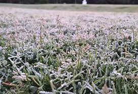 People suffer from frostbite in Ooty | ஊட்டியில் நடுங்க வைக்கும் உறைபனியால்  மக்கள் அவதி