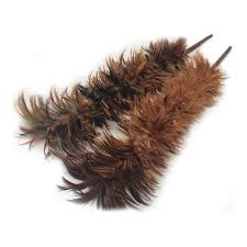 Household cleaning brush feather duster. Anti Static Chicken Feather Dust Removal Brush Household Cleaning Tool Fsg Buy At A Low Prices On Joom E Commerce Platform