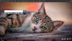 Cute Cats Hd Wallpaper In Wiinkz New Tab Cute Cat Wallpaper Cat Wallpaper Cats