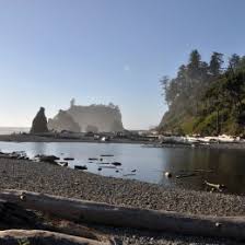 The best olympic national park hikes showcase its four distinct environments: Olympic National Park Washington State Das Unesco Weltnaturerbe