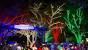 Busch Gardens Williamsburg Christmas Town 2019