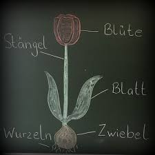 Endlich Pause 2 0 Fruhbluher Grundschule Ostern Grundschule Grundschule