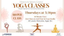 Vinyasa Yoga Classes