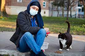 A Beloved Stray Cat Was Fatally Mauled But Was It Intentional Cruelty The New York Times