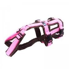 anny x hundegeschirr brustgeschirr safety in sonderfarben hunde shop hunde futter