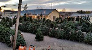 We are a locally owned nursery based in southern idaho's magic valley. Adams Gardens Nursery Nampa Idaho