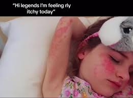 🎀cuteness overload🎀 (@cuteness.overload240)