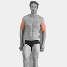 We are the hair removal experts in buffalo since 1998! Upper Or Lower Arms Laser Hair Removal For Men Best Laser Room London