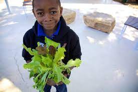 Elon Musk S Brother Kimbal Is Saving The World Too One Organic Garden At A Time Benefits Of Healthy Eating Organic Recipes The Kitchen Boulder