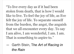 Garth Stein The Art Of Racing In The Rain Quotes Favorite Book Quotes Rain Quotes Inspirational Bible Quotes