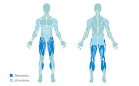 Research has shown jump squats to be an effective alternative to olympic lifts. Jumping Jacks Ausfuhrung Varianten Und 30 Tage Challenge Foodspring Magazine