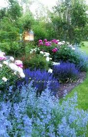 Hollyhocks Foxglove Four O Clock Delphiniums Daisies Coneflowers Echinaceas Judy S Cottage Garden How To Plan A Cottage Garden Garden Garden Design Beautiful Gardens