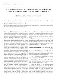 Image result for Platycoryne