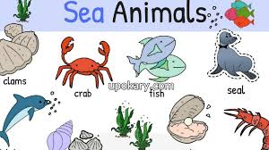 Here's what they look like, how the name of the letter is pronounced, and how the letter sounds when spoken. Ocean Or Sea Animals Name Upokary