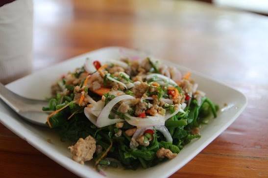 Fern Salad
