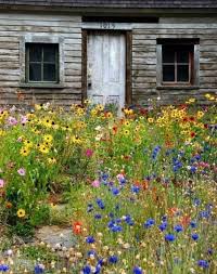 01 Beautiful Cottage Garden Ideas To Create Perfect Spot In 2020 Wildflower Garden Cottage Garden Dream Garden