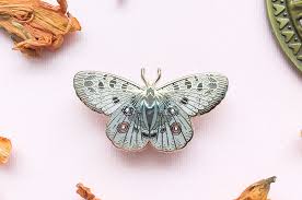 Image result for Parnassius apollo