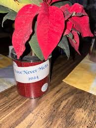 Love never melts 2024😇🙏🩷🥹