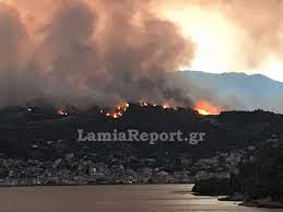 Φωτιά σε δασική έκταση βρίσκεται σε εξέλιξη στη λίμνη ευβοίας. Gosnn71pjtolrm