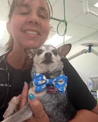 North River Animal Hospital...