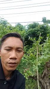 Bissmillah.. #senimanbonsai #penikmatproses #bonsaimania #fyp @sorotan