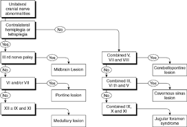 cranial nerves musculoskeletal key