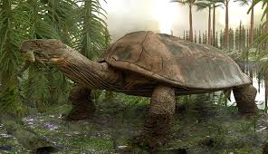 Penjualan honda terbanyak itu nomor satu di amerika serikat (as), nomor dua di jepang, nomor tiga di cina, sekarang nomor empat di indonesia, ucap direktur pemasaran dan layanan purnajual pt untuk pangsa pasar, indonesia malah yang terbesar dibanding negara lain di dunia, kata jonfis. Inilah 5 Keunikan Titanoboa Ular Terbesar Di Dunia