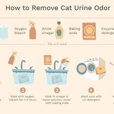 How To Remove Cat Urine Odor From Laundry