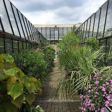 Die vielfalt von weltweiten pflanzengemeinschaften wird im ersten steinbruch gezeigt. Botanischer Garten Osnabruck Grunstes Ausflugsziel Der Domstadt