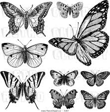 Black And White Clipart Images Of Butterflies Clipart Butterflies Butterfly Clip Art Butterfly Illustration Vintage Tattoo