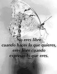 Cierto Words Some Quotes Beautiful Quotes