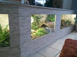 Landschildkrotenbabies Schildkrotengehege Schildkrote Gehege Landschildkroten