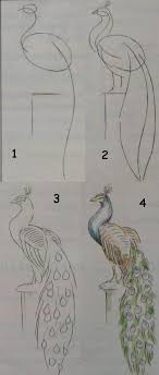 Kids Art Drawing Lessons For Beginners A Peacock How To Draw Painting For Kids Luntiks Crafts And Art Activities Drawings Art Lessons Drawing Lessons
