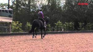 Carl hester and charlotte dujardin work their magic in this 15 minute masterclass where we get a sneak peak into their training. Dujardin Valegro English Youtube