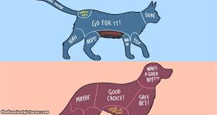Cat And Dog Petting Chart The Funniest Pictures