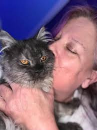 Madison County KY Lost and Found pets