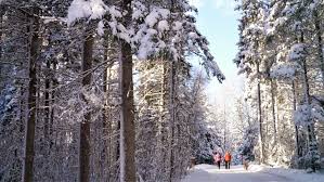 Check spelling or type a new query. Canada L Hiver Canadien C Est Comment Arpenter Le Chemin