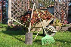 Garten Winterfest Machen Kleine Checkliste Winterfest Machen Garten Winterfest