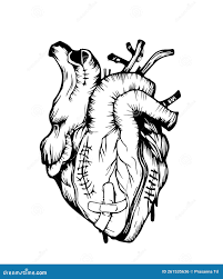 дизайн татуировок разбитого сердца с бинтом и швов иллюстрирует черный и  белый фон Иллюстрация штока - иллюстрации насчитывающей стежки, эскиз:  261535636
