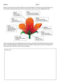 Check spelling or type a new query. Plant Reproduction Label The Parts Of A Flower Teaching Resources